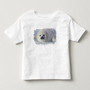 Harp seal Phoca groenlandica) A week-old harp Toddler T-Shirt
