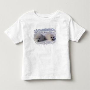 Harp seal (Phoca groenlandica) Harp seal pups Toddler T-Shirt