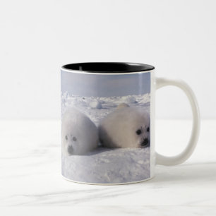 Harp seal (Phoca groenlandica) Harp seal pups Two-Tone Coffee Mug