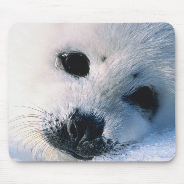 Harp seal pup 2 mouse mat (Front)