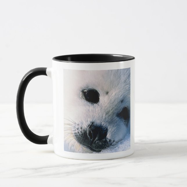 Harp seal pup 2 mug (Left)