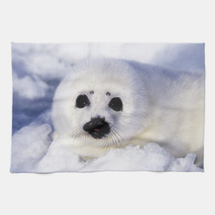 Harp seal pup ice Gulf of St. Lawrence, Tea Towel