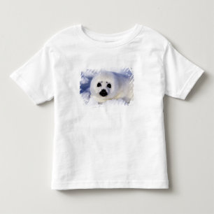 Harp seal pup ice Gulf of St. Lawrence, Toddler T-Shirt