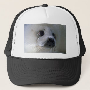 Harp seal pup trucker hat