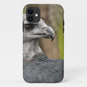 Harpy Eagle 1.JPG iPhone 11 Case