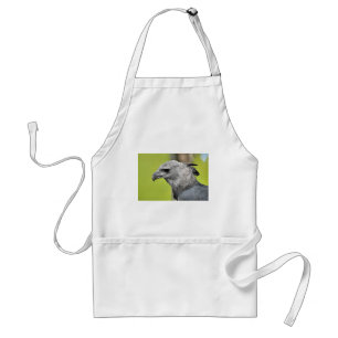 Harpy Eagle 2.JPG Standard Apron