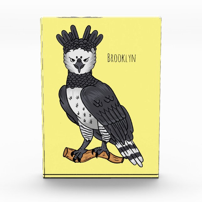 Harpy eagle cartoon illustration photo block (Front)