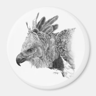 Harpy Eagle Drawing Magnet