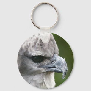 Harpy Eagle Key Ring