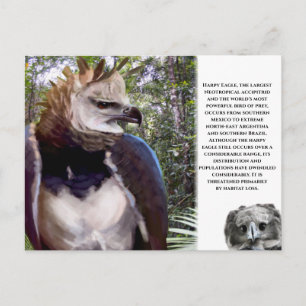 "Harpy Eagle" Postcard