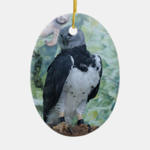 Harpy Eagle Standing Regal Ceramic Tree Decoration