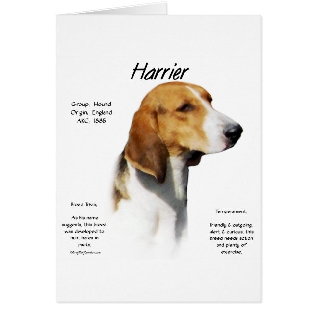 Harrier History Design (Front)