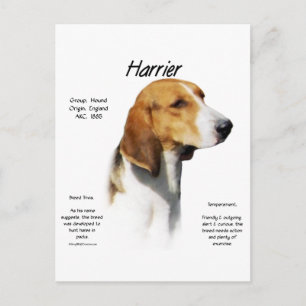 Harrier History Design Postcard