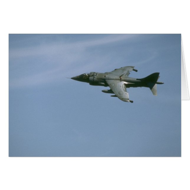 Harrier In Flight (Front Horizontal)