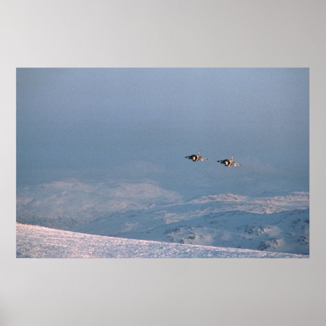 Harrier Jump Jets Poster (Front)