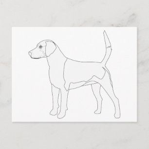 Harrier Ready to Colour Design Postcard