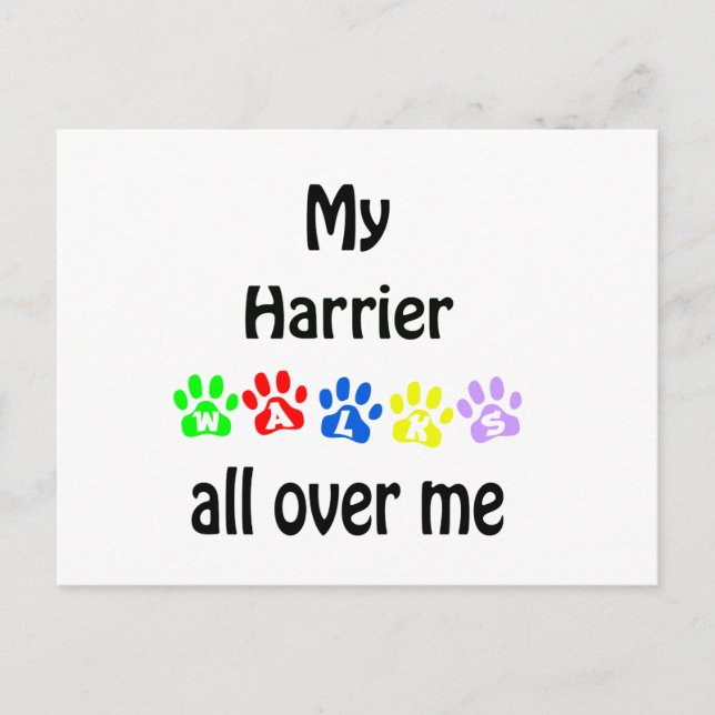 Harrier Walks Design Postcard (Front)