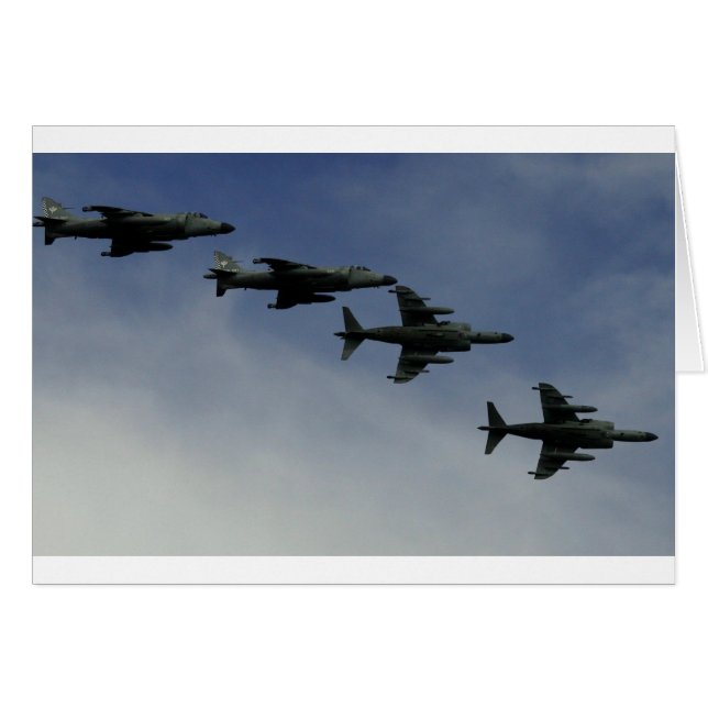 Harriers (Front Horizontal)
