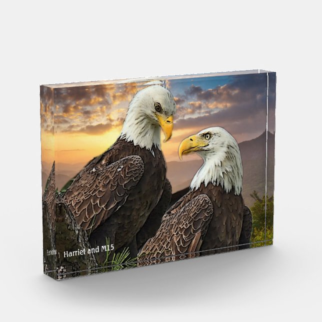 Harriet and M15  Eagle Love Photo Block (Left)
