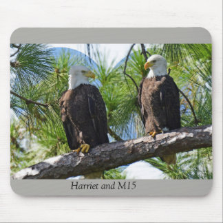 Harriet and M15 love Mouse Mat
