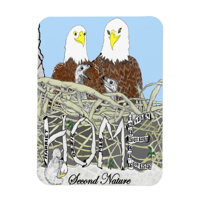 HARRIET, M15 + BABY EAGLES ALL TOGETHER AT HOME MAGNET (Vertical)