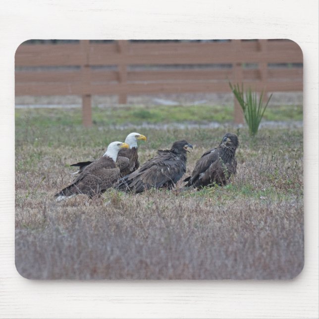 Harriet M15 E10 and E11 Mouse Mat (Front)