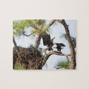 Harriet & M Puzzle