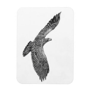 HARRIET OZZIE M HOME STORY OF FAMILY TREE NEW LIFE MAGNET