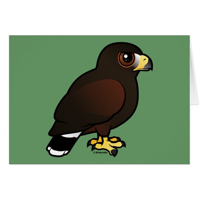 Harris Hawk (Front Horizontal)