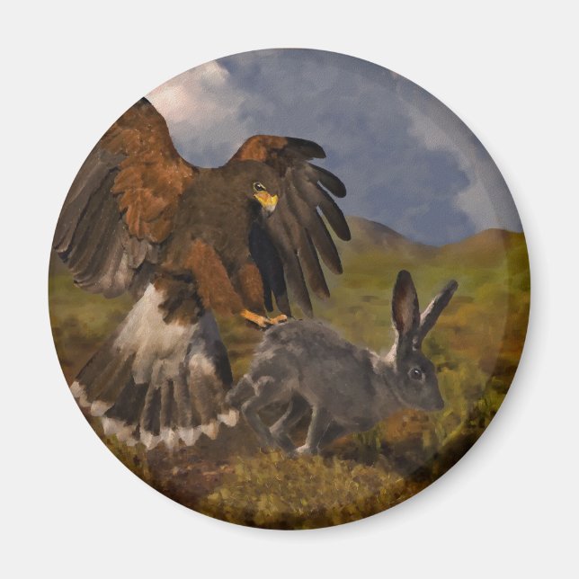 Harris Hawk and Jackrabbit - acrylic Magnet (Front)