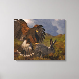Harris Hawk and Jackrabbit Canvas Print