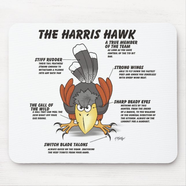 Harris Hawk Cartoon Mouse Mat (Front)