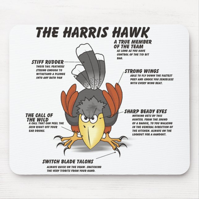 Harris Hawk Cartoon Mouse Mat (Front)