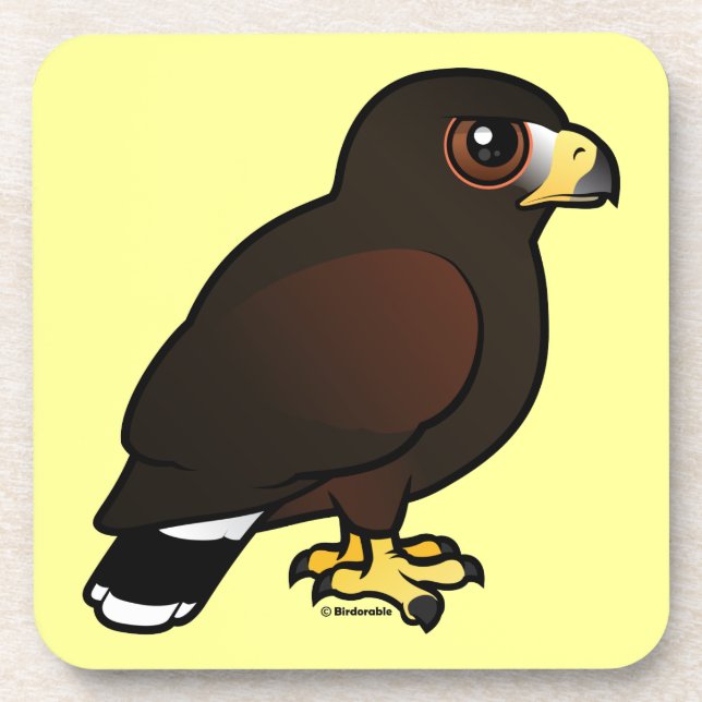 Harris Hawk Coaster (Front)
