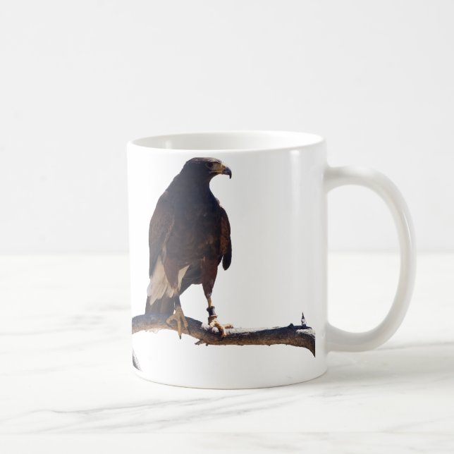 Harris' Hawk Coffee Mug (Right)
