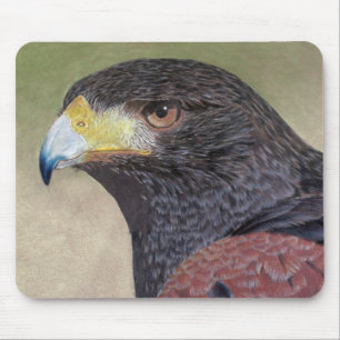 Harris Hawk coloured pencils Mouse Mat