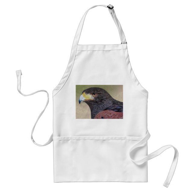 Harris Hawk coloured pencils Standard Apron (Front)