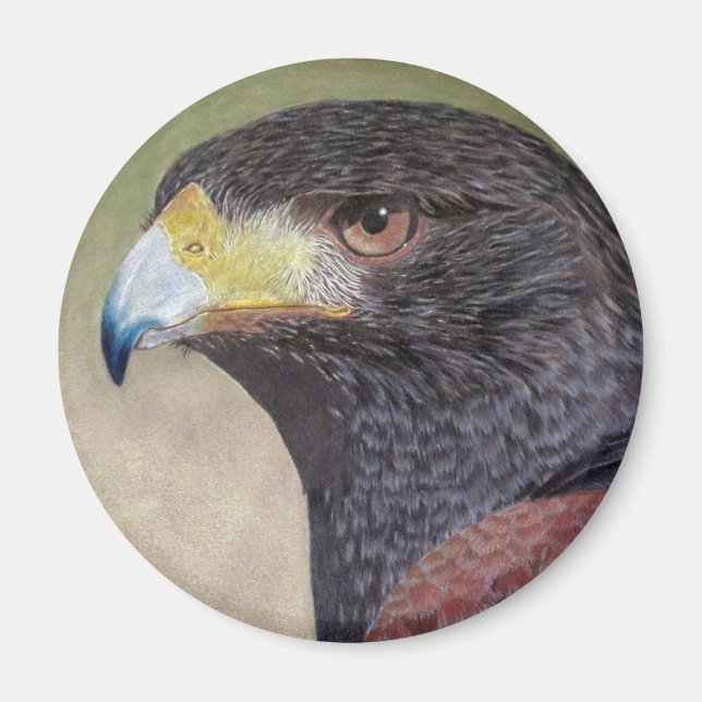 Harris Hawk-cp Magnet (Front)