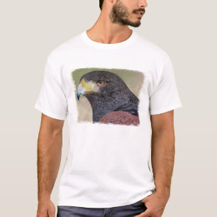 Harris Hawk-cp T-Shirt