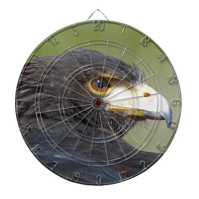 Harris Hawk Dartboard (Front)