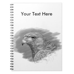 Harris Hawk Drawing Notebook
