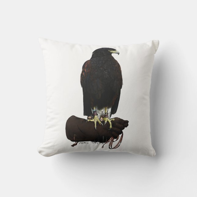Harris Hawk on Glove Cushion (Front)