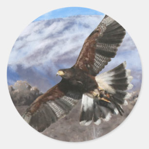 Harris Hawk- pastel Classic Round Sticker