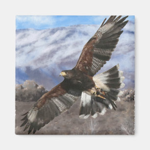 Harris Hawk- pastel Magnet