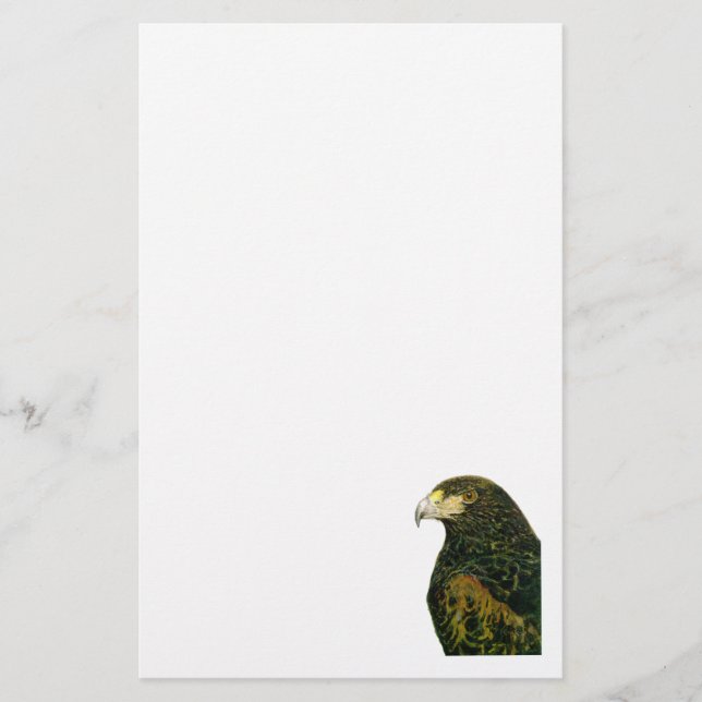 Harris Hawk  Stationery (Front)