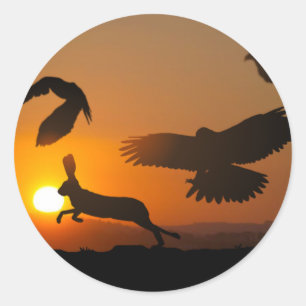 Harris Hawks Classic Round Sticker