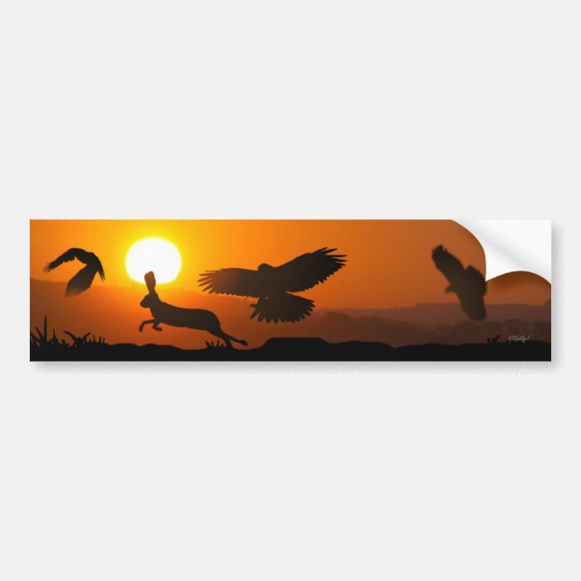 Harris Hawks Hunting Bumper Sticker (Front)