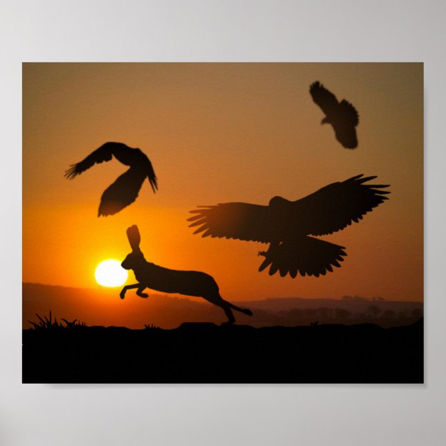 Harris Hawks Hunting Poster (Front)