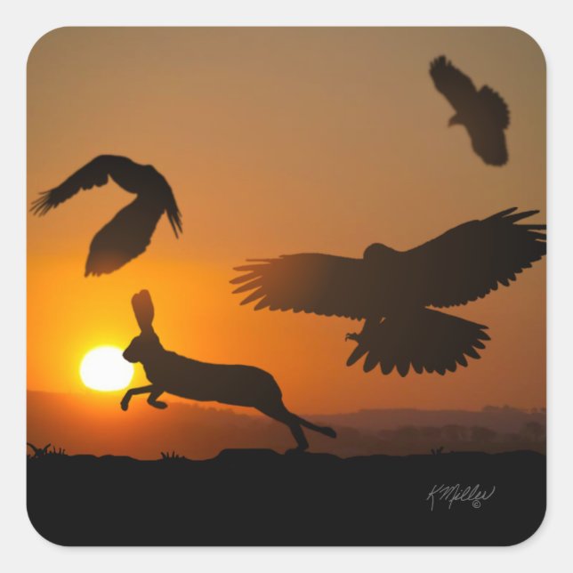 Harris Hawks Hunting Square Sticker (Front)