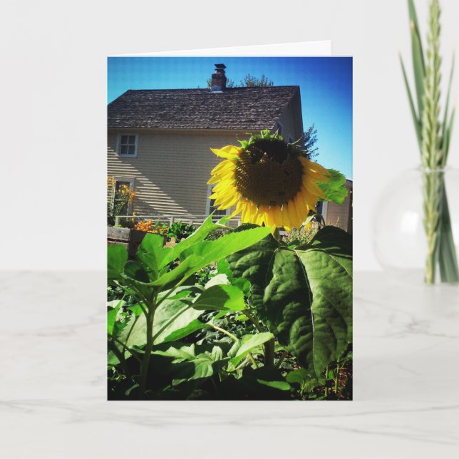 "Harris House Sunflower" Get Well Card (Front)